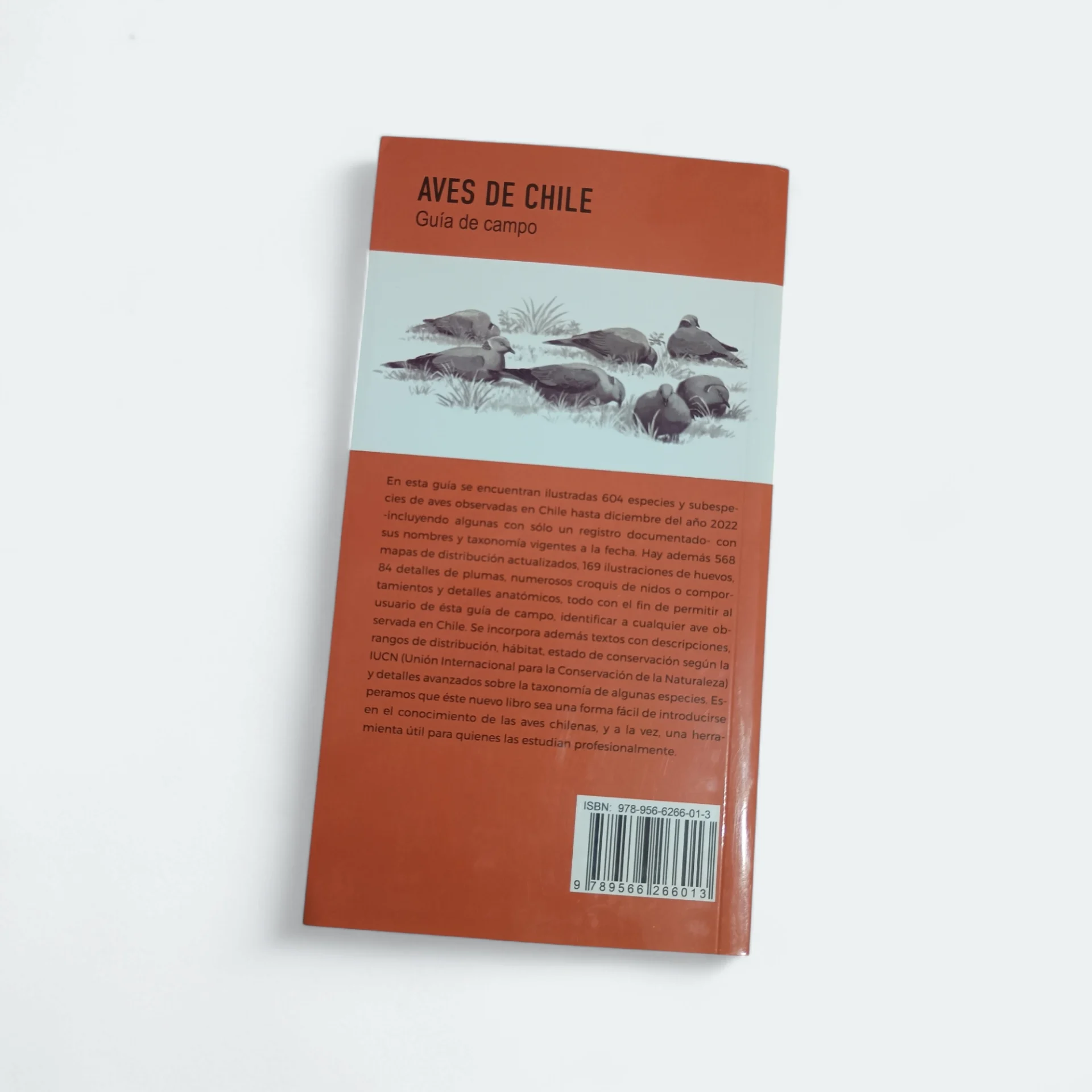 Photoroom-20250121_150114